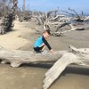 This Jekyll Island beach is filled with driftwood, hence the name: Driftwood Beach. Photo by the author 