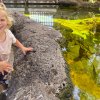 There are tide pools everywhere you look in San Diego! Photo by Kylie Williams