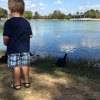 Free activities like feeding the ducks at Mary Jo Peckham Park are simple and still great fun for kids. Photo by Rachael Cherry