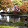 7 Perfect Picnic Places on Long Island | Mommy Poppins - Things To Do