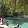 Swim at the freshwater Juniper Springs in Silver Springs, Florida. US Forest Service photo by Susan Blake