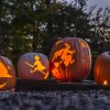 Halloween and New England go together like pumpkin festivals and jack-o'-lantern displays! Incredible Naumkeag Pumpkin Show photo courtesy of the Trustees