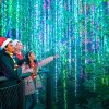 Garden Lights, Holiday Nights returns is a must-see Atlanta holiday event. Photo courtesy of the Atlanta Botanical Gardens