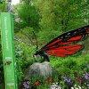 Spot butterflies—real and supersized—when you explore the newly reopened Everett Children's Adventure Garden at the New York Botanical Garden. 