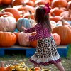 Find the best pumpkin patches near Atlanta with our guide to the best things to do this fall near Atlanta with kids.