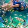 Photo of snorkeling at Xel-Ha in Mexico courtesy the water park.