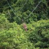  Zip line through the stunning jungles of St. Kitts with Sky Safari. 