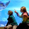 The Maritime Aquarium at Norwalk has 75 animal exhibits and is home to more than 7,000 animals. Photo courtesy of the aquarium