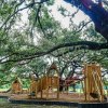 The playground at Tucker Ranch Preserve sports a treehouse feel surrounded by nature.