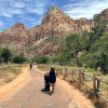 A trip to Zion offers many opportunities for families to explore, learn, and connect with the park.