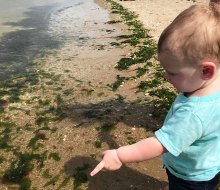 Spend a day at a Long Island beach with your baby during their first year. 