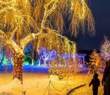 Holiday lights will still be shining bright over Christmas break 2024 in Boston. Night Lights photo courtesy of the Tower Hill Botanic Garden