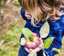 Fill your bucket with more than apples and candy–Take a bite out of autumn with our Fall Bucket List for kids! Apple Picking photo courtesy of the Massachusetts Office of Tourism 