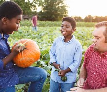 Pick pumpkins and enjoy other fall fun every weekend at Johnson's Corner Farm.