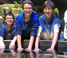 There are four tidal pools for kids to explore. Photos courtesy of Living Shores Aquarium