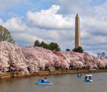 April is the ideal month to see the Washington, DC cherry blossoms. Photo courtesy of the National Park Service
