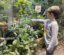 The Long Island Aquarium's Butterfly Garden is a beautiful and warm place to visit during winter break. Photo by Gina Massaro