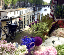 Amsterdam is famous for its flowers and canals. Photo courtesy of i amsterdam