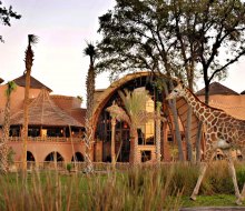 A stay at Orlando's Animal Kingdom Lodge is a special treat. Photo courtesy of Walt Disney World Resort Hotels