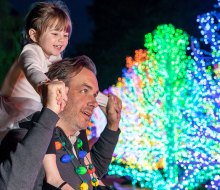 Garden Lights, Holiday Nights at the Atlanta Botanical Garden is a magical winter spot. Photo courtesy of the garden