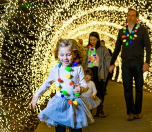 Millions of twinkling lights completely transform the Atlanta Botanical Garden into the magical winter wonderland of Garden Lights, Holiday Nights. Photo courtesy of the garden