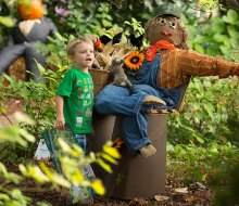 Celebrate fall by touring the Atlanta Botanical Garden for its Scarecrows in the Garden fall event. Photo courtesy of the garden