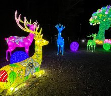 Head to the Gwinnett County Fairgrounds to walk through an outdoor maze of over 1,000 illuminated Chinese lanterns at the Winter Lantern Festival. Photo by Rebecca Ruffin Leffler