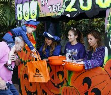 Trick or treat, snap cute photos, enjoy themed entertainment, and more at Zoo Atlanta's Boo at the Zoo. Photo courtesy of Zoo Atlanta