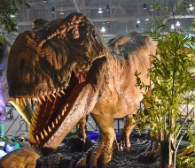 Jurassic Quest roars into the Cobb Galleria Centre this weekend! Photo courtesy of Jurassic Quest