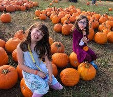 Pick the perfect pumpkin at Berry Patch Farm in October. Photo by Melanie Preis