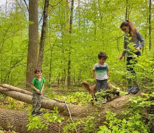 Take a hike with your little one on a family day trip from NYC.