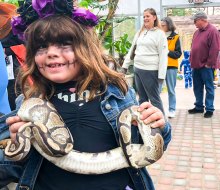 Thinks are getting extra spooky (and a little slithery) for Halloween Weekend 2023 in Connecticut! Boo at the Beardsley Zoo photo by Ally Noel, for Mommy Poppins