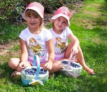 Fill your baskets with delicious treats when berry picking and peach picking at Connecticut farms. Photo courtesy of Belltown Hill Orchards