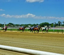 Belmont Park is a picturesque setting to enjoy a day of thoroughbred horse racing.