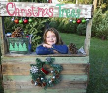 Christmas tree farms near Boston provide a magical holiday moment for families.