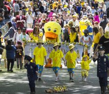 Make way for all the family fun coming to Boston in May 2025! Duckling Day event photo courtesy of Friends of the Public Garden