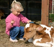 Kids can see (and sometimes touch!) animals up close at Greater Boston's farms and petting zoos! Photo credit: Davis Farmland Sterling, MA