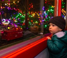 Winter lights are shining bright at the top things to do in Boston this weekend! Photo by Melissa Blackall courtesy of the Stone Zoo.