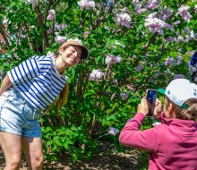 Spring brings May flowers to Boston, along with free and fun things to do all month! Lilac Sunday photo by Lauren Miller/Arnold Arboretum of Harvard University