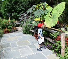 Kids and grown-ups alike will love exploring the lush gardens at Reeves-Reed Arboretum. 