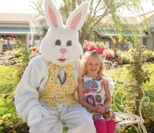Get those important Easter Bunny pictures at these events in Houston. Photo courtesy of the Brookwood Community