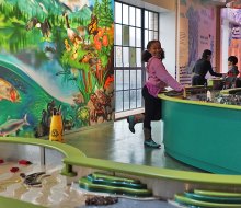 Beautiful murals and stunning hands-on exhibits inspired by its home borough welcome visitors at the long-awaited Bronx Children's Museum.