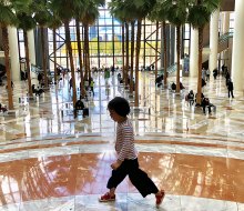 Explore the plants, trees, flowers, shops, and public art at the Winter Garden atrium at Brookfield Place. Photo by Janet Bloom