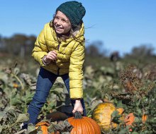 Harbes Family Farm offers tons of seasonal fun and plenty of pumpkins to pick. Photo courtesy of the farm