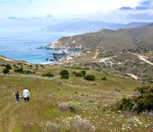 Photo by Jack Baldelli courtesy of Catalina Island Conservancy