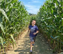 Cherry Crest Adventure Farm's corn maze in Ronks was voted tops in the nation. Photo by Kristen Sullivan