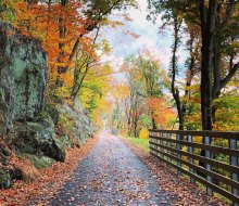 Enjoy the easy walking paths and the beautiful foliage along the Chester Creek Trail. Photo courtesy of the Chester Creek Trail