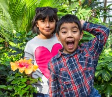 Garfield Park Conservatory. Photo by Zulema Ortega  via Flickr 2.0