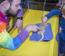 On sensory-friendly days, kids can enjoy activities with a quieter, calmer touch. Photo courtesy of the Connecticut Science Center