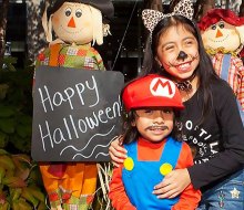 The Cross County mall offers free Halloween fun with trick-or-treating, a dance party, stories, inflatables, and more.
